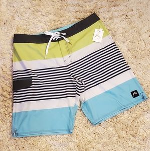 Rusty Swim Board Shorts